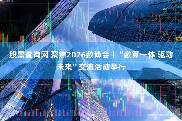 股票查询网 聚焦2026数博会｜“数算一体 驱动未来”交流活动举行